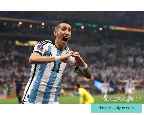 阿根廷队攻防平衡持续提升，球队竞争力增强引发关注