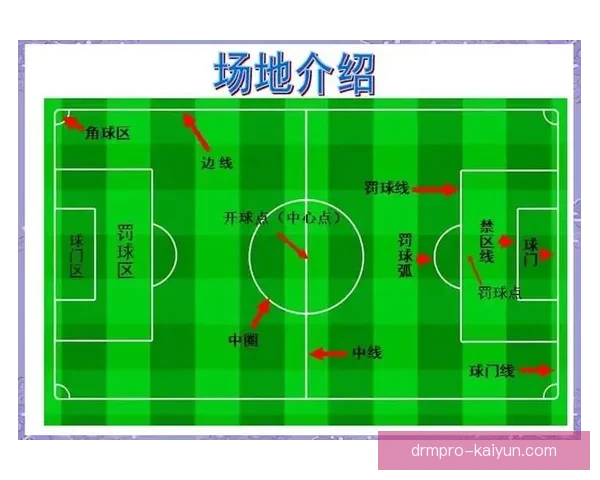 球场指南集：全面解析各大足球场馆的设施与特色